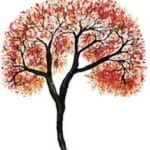 young mind clinic logo