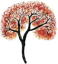 young mind clinic logo